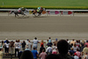 Father's Day at Belmont Race Track : 6.15.08