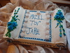 Jake's Bar Mitzvah : 